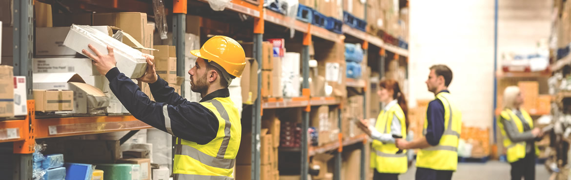 Organización de Almacenes